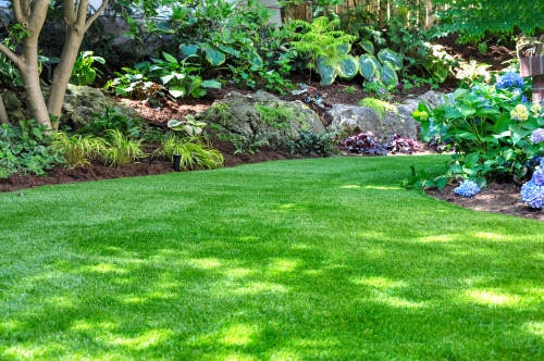 10 Landscaping Ideas to Enhance Your Backyard