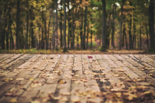 3 Ways to Transition Your Deck to Fall