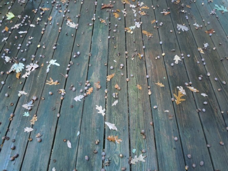 Fall Deck Advice from the Experts