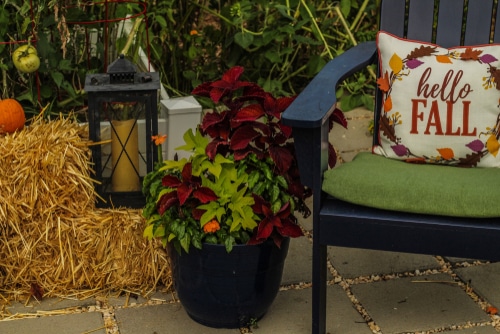 Patio Decoration Tips for the Fall